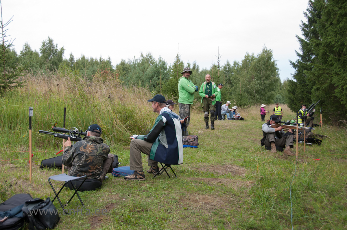 On one side dark forest and the other side sunny field.